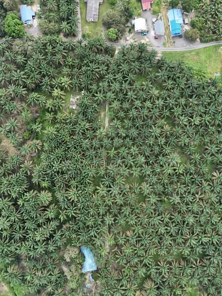 Tanah Pertanian untuk Dijual di Batu Pahat (Johor) - AIRUL NIZAM - Exterior - PropertyGuru.com.my