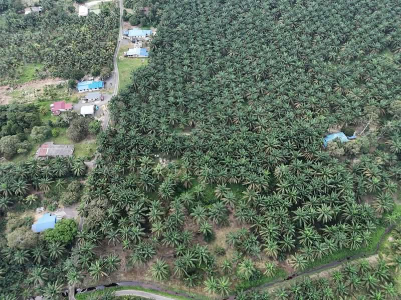 Tanah Pertanian untuk Dijual di Batu Pahat (Johor) - AIRUL NIZAM - Exterior - PropertyGuru.com.my
