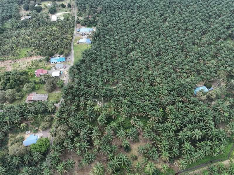 Tanah Pertanian untuk Dijual di Batu Pahat (Johor) - AIRUL NIZAM - Exterior - PropertyGuru.com.my