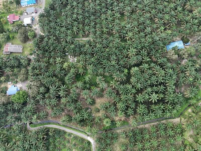 Tanah Pertanian untuk Dijual di Batu Pahat (Johor) - AIRUL NIZAM - PropertyGuru.com.my