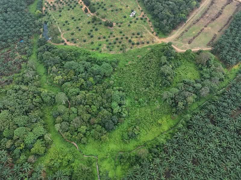 Agricultural Land for Sale in Kota Tinggi (Johor) - AIRUL NIZAM - Exterior - PropertyGuru.com.my