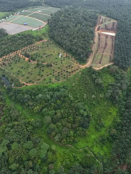 Agricultural Land for Sale in Kota Tinggi (Johor) - AIRUL NIZAM - Exterior - PropertyGuru.com.my