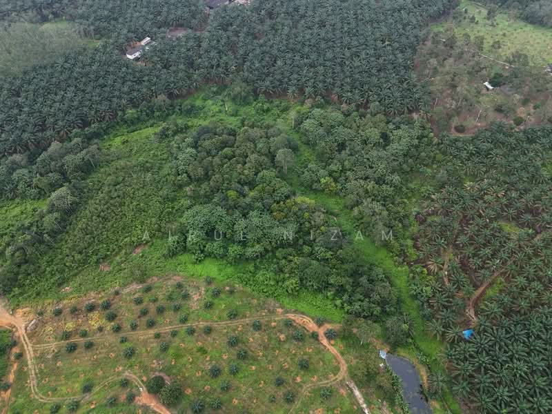 Agricultural Land for Sale in Kota Tinggi (Johor) - AIRUL NIZAM - Exterior - PropertyGuru.com.my