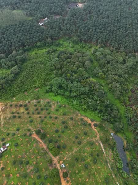 Agricultural Land for Sale in Kota Tinggi (Johor) - AIRUL NIZAM - Exterior - PropertyGuru.com.my