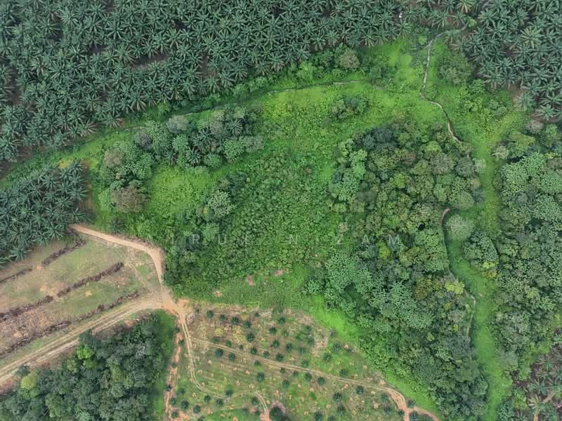 Agricultural Land for Sale in Kota Tinggi (Johor) - AIRUL NIZAM - Exterior - PropertyGuru.com.my