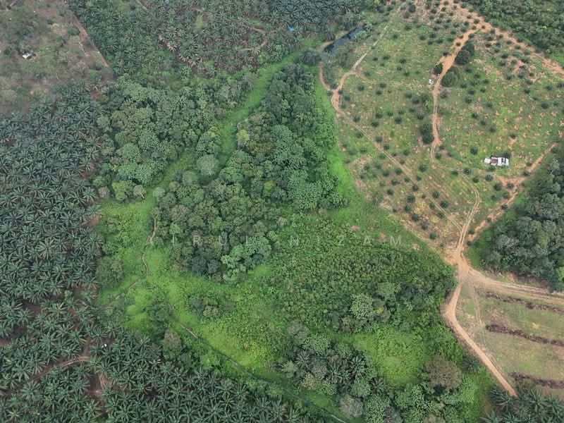 Agricultural Land for Sale in Kota Tinggi (Johor) - AIRUL NIZAM - Exterior - PropertyGuru.com.my