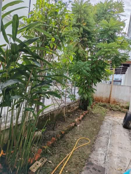 Rumah Teres 2 Tingkat untuk Dijual di Jitra (Kedah) - Hasnizam . - PropertyGuru.com.my