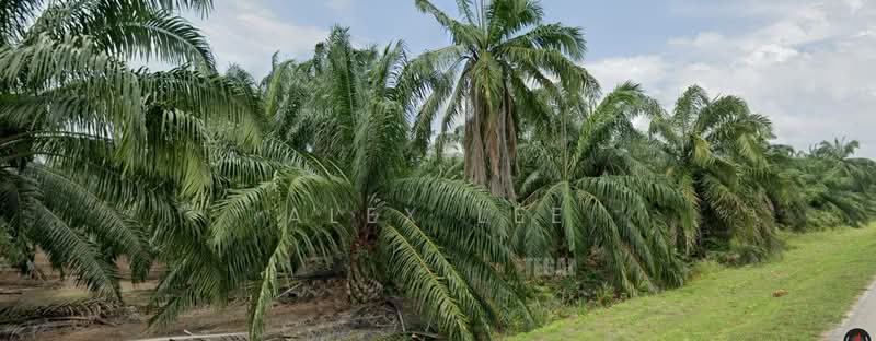 Residential Land for Sale in Kuala Selangor (Selangor) - Alex Lee - PropertyGuru.com.my