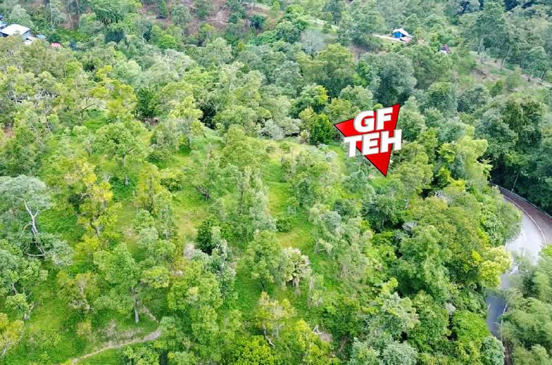 Agricultural Land for Sale in Teluk Bahang (Penang) - Teh Guan Fong - Exterior - PropertyGuru.com.my