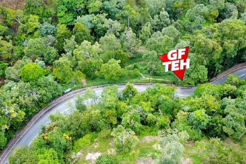 Agricultural Land for Sale in Teluk Bahang (Penang) - Teh Guan Fong - Exterior - PropertyGuru.com.my