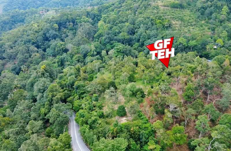 Agricultural Land for Sale in Teluk Bahang (Penang) - Teh Guan Fong - PropertyGuru.com.my