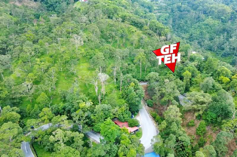 Agricultural Land for Sale in Teluk Bahang (Penang) - Teh Guan Fong - PropertyGuru.com.my