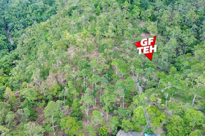 Agricultural Land for Sale in Teluk Bahang (Penang) - Teh Guan Fong - Exterior - PropertyGuru.com.my