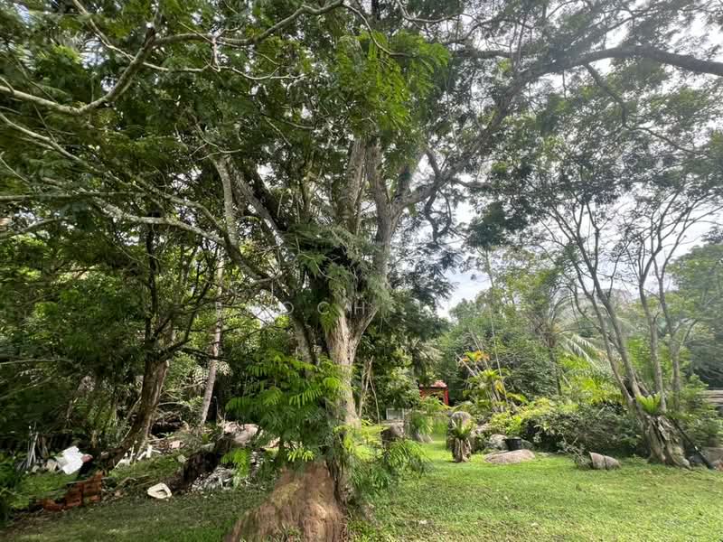 Bungalow for Sale in Batu Ferringhi (Penang) - Enoch Tiu - Exterior - PropertyGuru.com.my