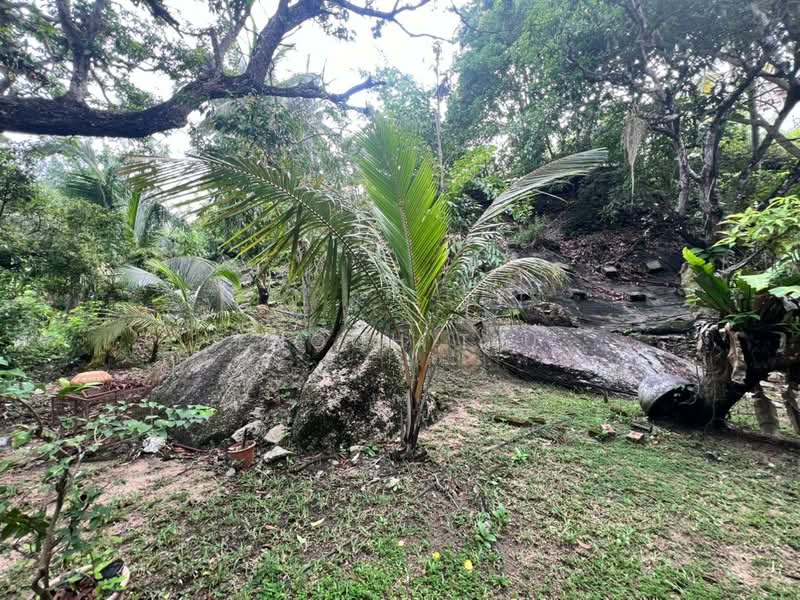 Bungalow for Sale in Batu Ferringhi (Penang) - Enoch Tiu - Garden - PropertyGuru.com.my