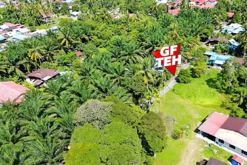 Tanah Pertanian untuk Dijual di Simpang Ampat (Penang) - Teh Guan Fong - Exterior - PropertyGuru.com.my