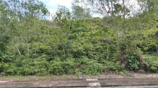 Tanah Kediaman untuk Dijual di Pantai (Kuala Lumpur) - Alvin Kok - PropertyGuru.com.my