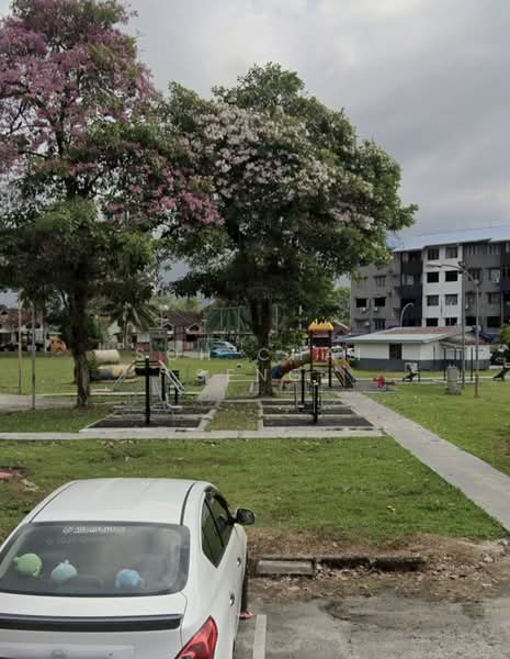 1-storey Terraced House for Rent in Taman Molek (Johor Bahru) - Soh Chai Seng - PropertyGuru.com.my