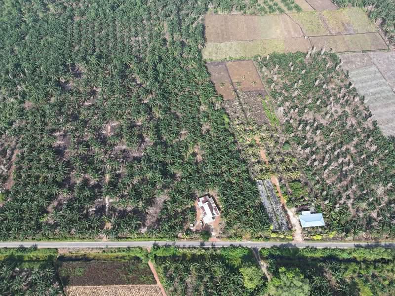 Tanah Pertanian untuk Dijual di Benut (Johor) - AIRUL NIZAM - Exterior - PropertyGuru.com.my
