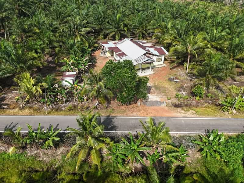 Tanah Pertanian untuk Dijual di Benut (Johor) - AIRUL NIZAM - Exterior - PropertyGuru.com.my