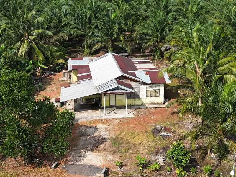 Tanah Pertanian untuk Dijual di Benut (Johor) - AIRUL NIZAM - Exterior - PropertyGuru.com.my