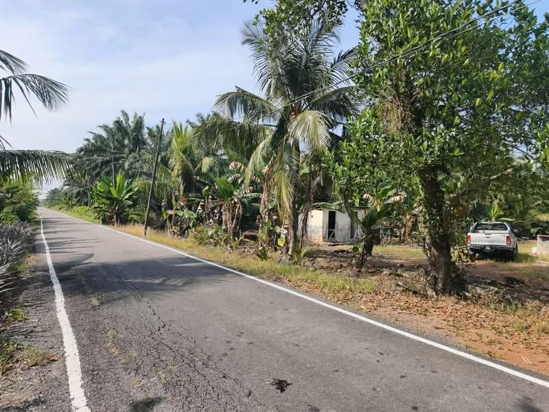 Tanah Pertanian untuk Dijual di Benut (Johor) - AIRUL NIZAM - Exterior - PropertyGuru.com.my