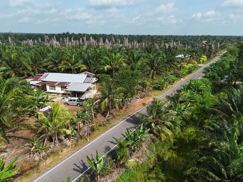 Tanah Pertanian untuk Dijual di Benut (Johor) - AIRUL NIZAM - Exterior - PropertyGuru.com.my