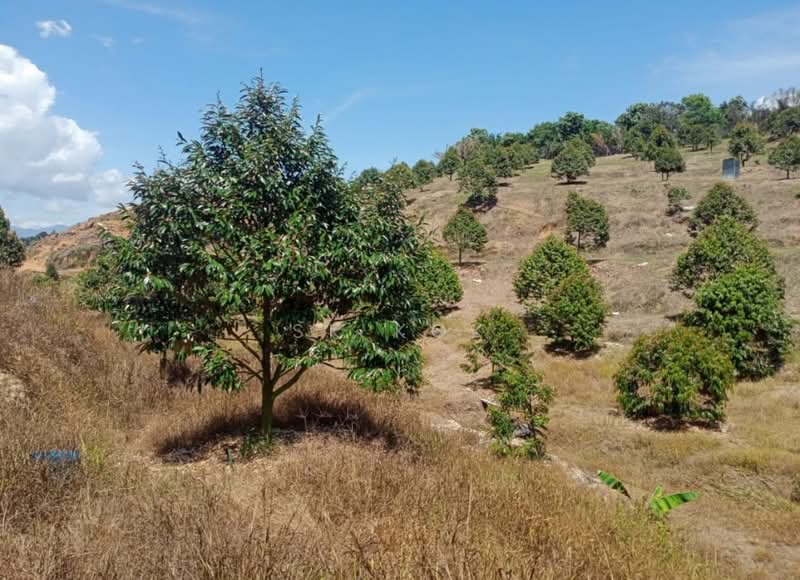 Tanah Pertanian untuk Dijual di Sungai Siput (Perak) - SK Kok - PropertyGuru.com.my