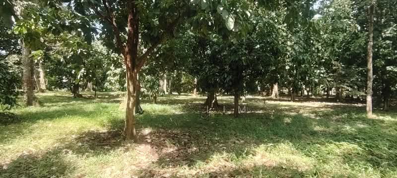 Agricultural Land for Sale in Kota Tinggi (Johor) - Vic Lim - PropertyGuru.com.my