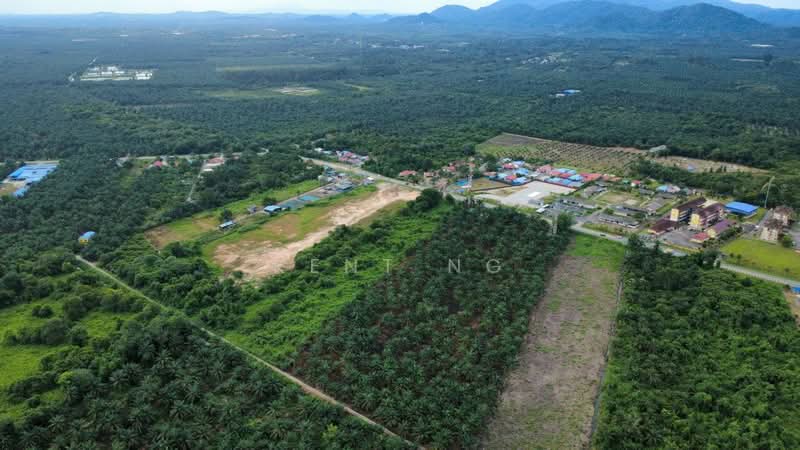 Industrial Land for Sale in Tmn Perindustrian Pekan Nenas 1 (Pekan Nanas) - Kent Ng - PropertyGuru.com.my