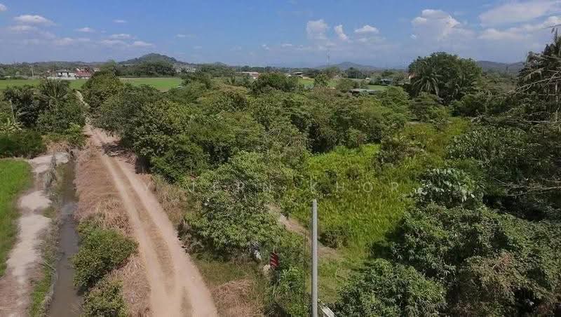 Tanah Pertanian untuk Dijual di Kampung Permatang Nibong (Bukit Mertajam) - YJ Khor - Exterior - PropertyGuru.com.my