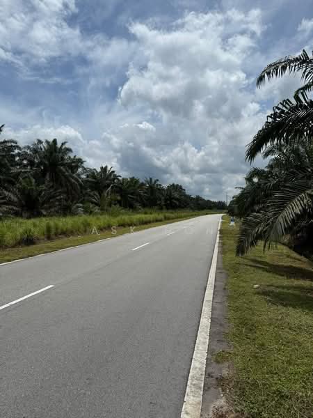 Agricultural Land for Sale in Kampung Jawa (Johor Bahru) - Ask Hon - PropertyGuru.com.my
