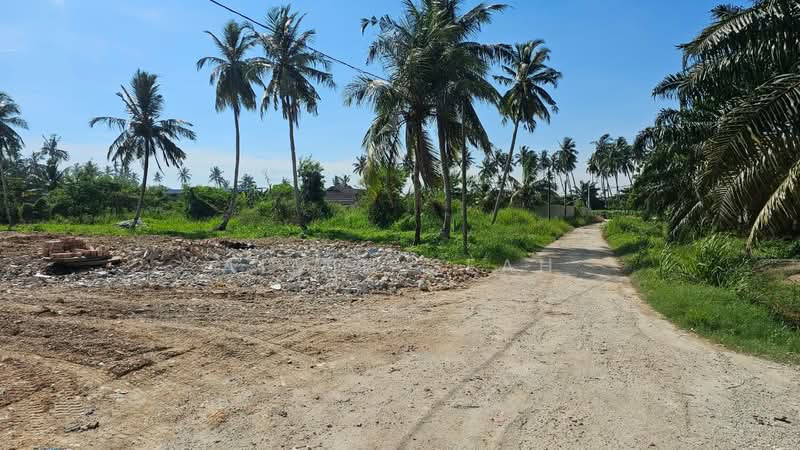 Agricultural Land for Sale in Taman Kapar Indah (Kapar) - Alvin Seah - Exterior - PropertyGuru.com.my