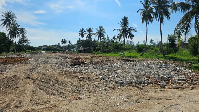 Agricultural Land for Sale in Taman Kapar Indah (Kapar) - Alvin Seah - Exterior - PropertyGuru.com.my