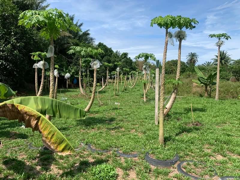 Tanah Pertanian untuk Dijual di Morib (Selangor) - Alvin Seah - Garden - PropertyGuru.com.my