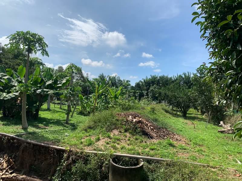 Tanah Pertanian untuk Dijual di Morib (Selangor) - Alvin Seah - Garden - PropertyGuru.com.my