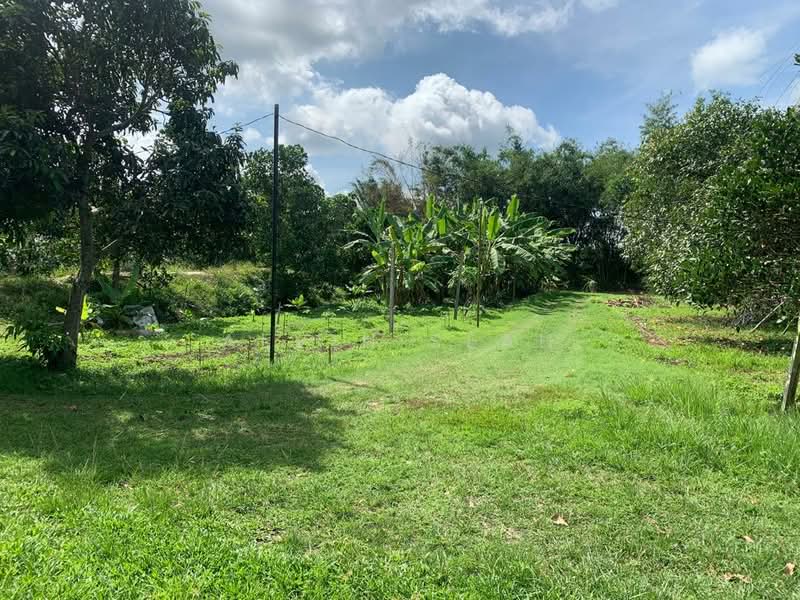 Tanah Pertanian untuk Dijual di Morib (Selangor) - Alvin Seah - Garden - PropertyGuru.com.my