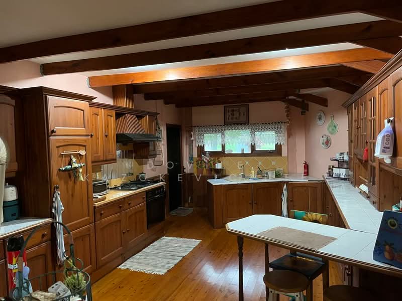 Rumah Banglo untuk Dijual di Mantin (Negeri Sembilan) - Dovile Kazokeviciute - Kitchen - PropertyGuru.com.my