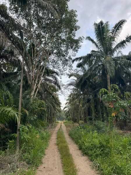 Tanah Perindustrian untuk Dijual di Ulu Choh (Jeram Batu) - Alex Cheah - PropertyGuru.com.my