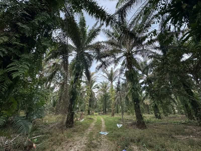 Tanah Perindustrian untuk Dijual di Ulu Choh (Jeram Batu) - Alex Cheah - PropertyGuru.com.my