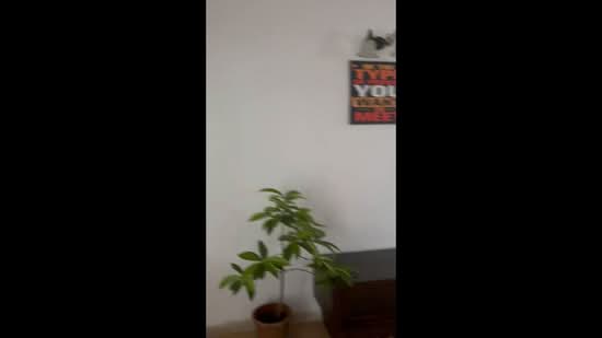 Rumah Teres 1 Tingkat untuk Disewa di Taman Perling (Perling) - Hazel Chin - PropertyGuru.com.my