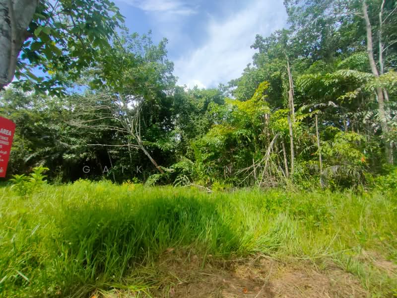 Tanah Pertanian untuk Dijual di Kampung Titi Teras (Balik Pulau) - Gaik Suan Tan - Exterior - PropertyGuru.com.my