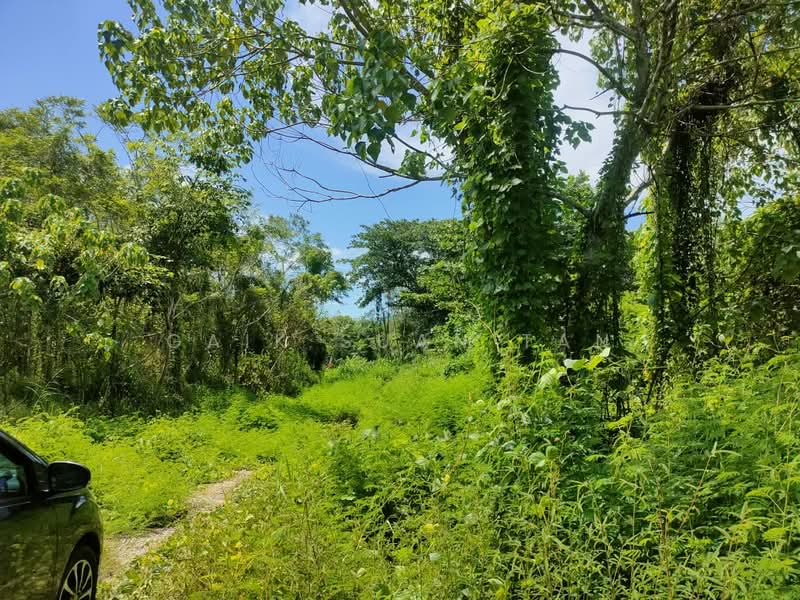 Tanah Pertanian untuk Dijual di Kampung Titi Teras (Balik Pulau) - Gaik Suan Tan - Exterior - PropertyGuru.com.my