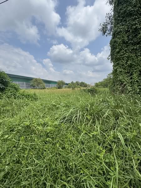 Tanah Perindustrian untuk Dijual di Batang Berjuntai (Selangor) - Alicia Chong - Exterior - PropertyGuru.com.my