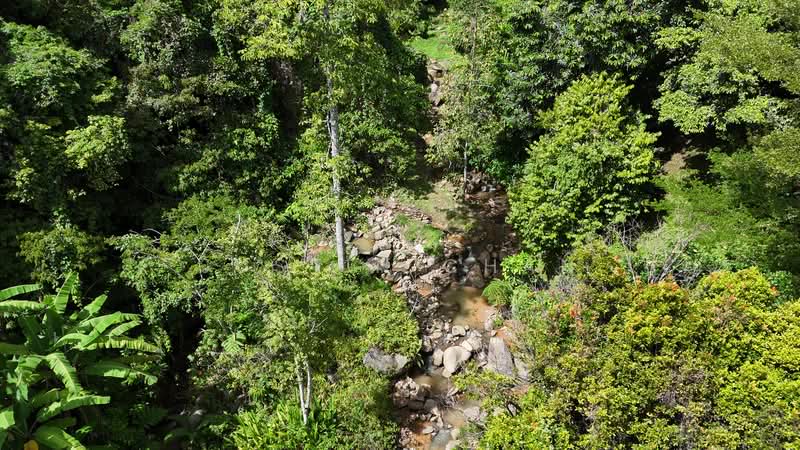 Residential Land for Sale in Bentong (Pahang) - Justin Chan - Exterior - PropertyGuru.com.my