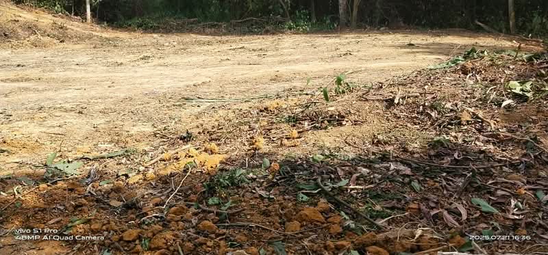Residential Land for Sale in Sungai Merab (Dengkil) - Izzati Ismil - Exterior - PropertyGuru.com.my