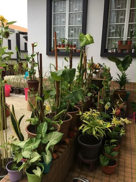 2-storey Terraced House for Sale in Johor Bahru (Johor) - Lavine Beh - Exterior - PropertyGuru.com.my