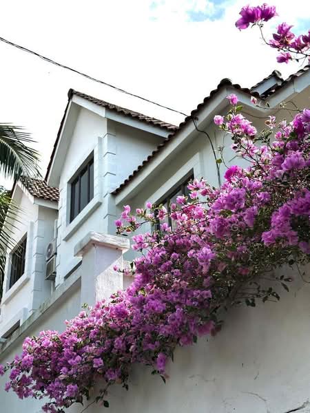 Bungalow House untuk Dijual di Batu Ferringhi (Penang) - Tee Mooi Kiang - Exterior - PropertyGuru.com.my
