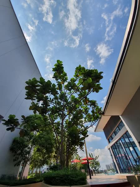 Condominium for Sale at Sutera Pines - Stella Lee - Exterior - PropertyGuru.com.my