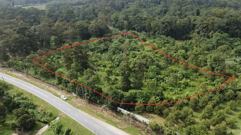 Agricultural Land for Sale in Karak (Pahang) - Harry Chin - Exterior - PropertyGuru.com.my